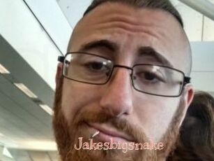 Jakesbigsnake