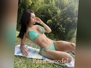 Karimemodel