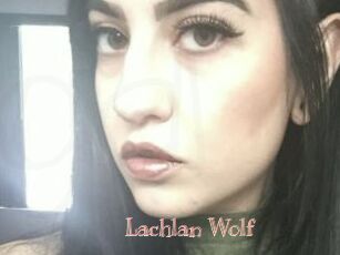 Lachlan_Wolf