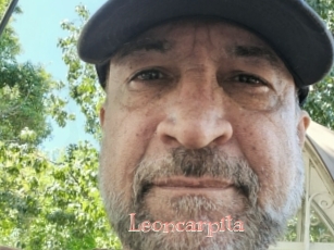 Leoncarpita