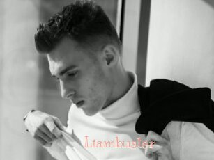 Liambuster