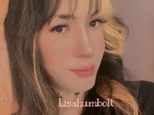 Lisahumbolt