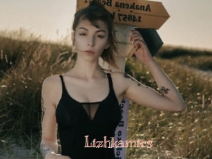 Lizhkamics