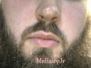 MrHairyJr