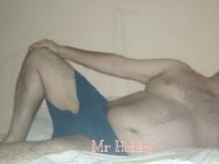 Mr_Hobbs