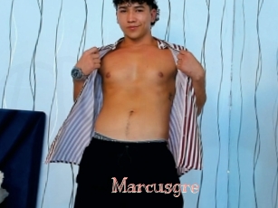 Marcusgre