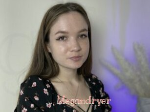 Megandryer