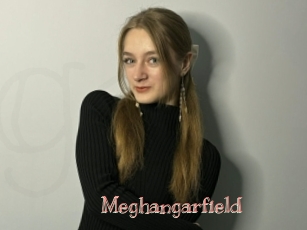 Meghangarfield