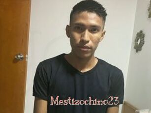 Mestizochino23