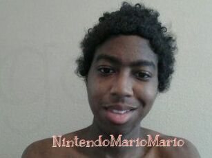 NintendoMarioMario