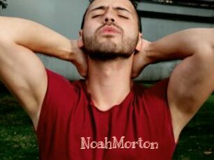 NoahMorton