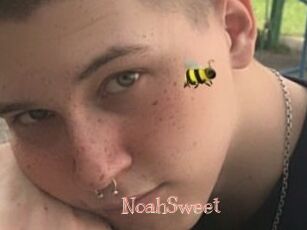 NoahSweet