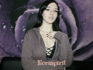 Noraspirit