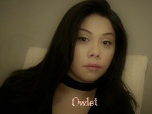 _Owlet_