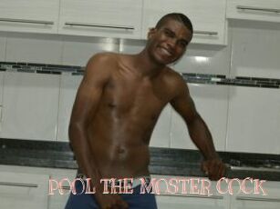 POOL_THE_MOSTER_COCK