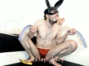 Playful_Toy