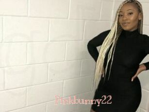 Pinkbunny22