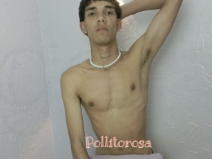 Pollitorosa