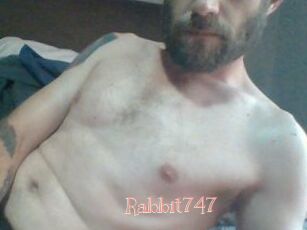 Rabbit747