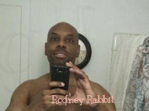 Rodney_Rabbit