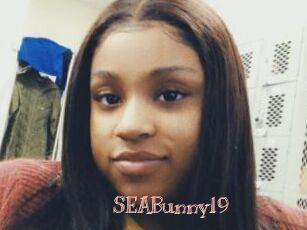 SEABunny19