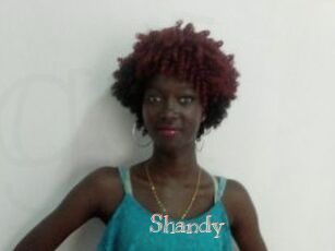 Shandy