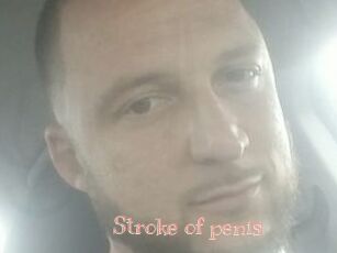 Stroke_of_penis