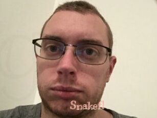 Snakefl