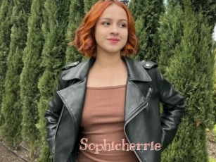 Sophicherrie