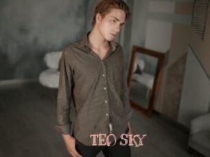 TEO_SKY