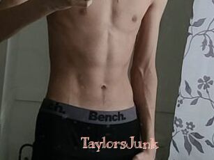 TaylorsJunk