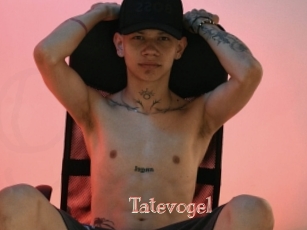 Tatevogel