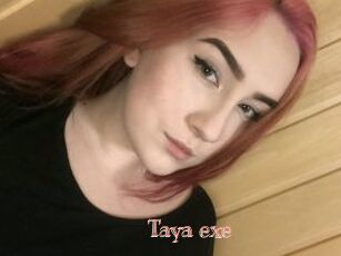 Taya_exe