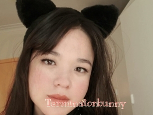 Terminatorbunny