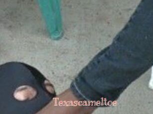 Texascameltoe