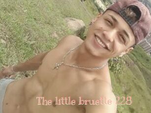 The_little_bruette_228