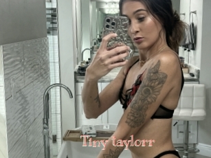 Tiny_taylorr