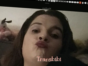 Transbibi