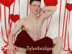 Tylerbridges