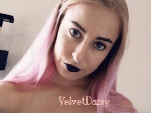 VelvetDaisy