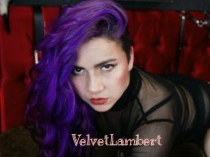 VelvetLambert