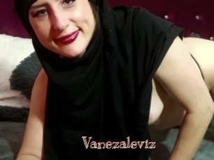 Vanezaleviz