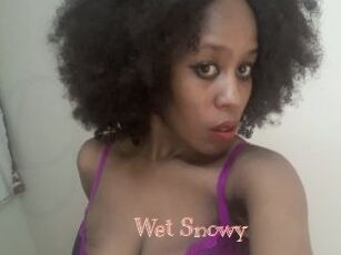 Wet_Snowy