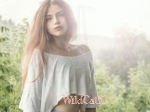 Wild_CatX