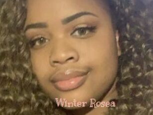 Winter_Rosea