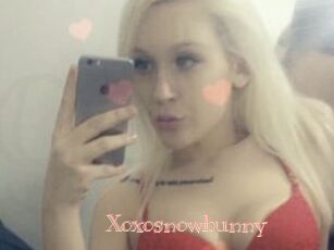 Xoxosnowbunny