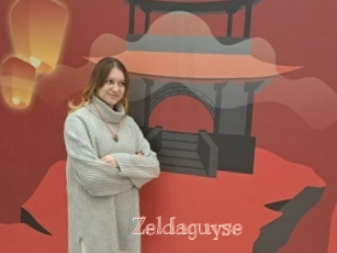 Zeldaguyse